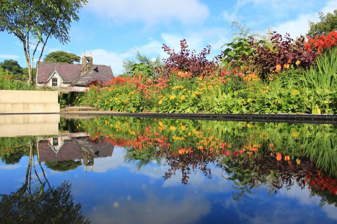 June Blake'S Garden Blessington Εξωτερικό φωτογραφία