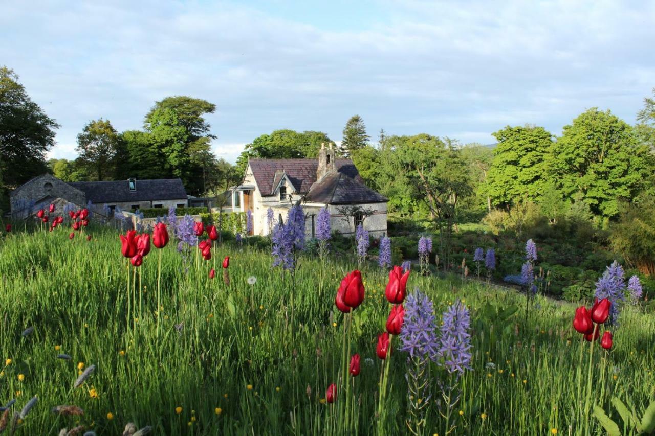June Blake'S Garden Blessington Εξωτερικό φωτογραφία