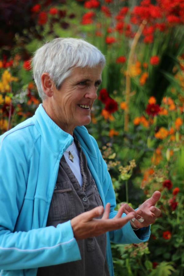 June Blake'S Garden Blessington Εξωτερικό φωτογραφία